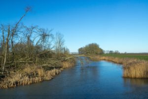 uitzicht in de Biesbosch